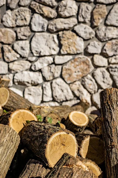 Log of a cut circular trunk, where the tree annual growth rings can be seen. Untidy stack of firewood. Ivy leaves attached to the bark of the tree. Stone and cement wall in the background. — Stock Image Log Cut Circular Trunk Tree Annual Growth Rings Can Seen Stock Picture