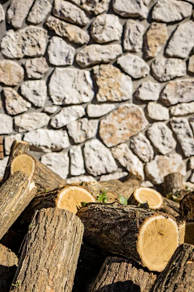 Log of a cut circular trunk, where the tree annual growth rings can be seen. Untidy stack of firewood. Ivy leaves attached to the bark of the tree. Stone and cement wall in the background. — Stock Image Log Cut Circular Trunk Tree Annual Growth Rings Can Seen Stock Picture