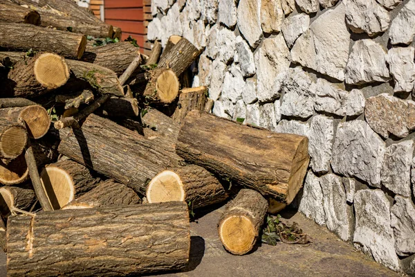 Log of a cut circular trunk, where the tree annual growth rings can be seen. Untidy stack of firewood. Ivy leaves attached to the bark of the tree. Stone and cement wall in the background. — Stock Image Log Cut Circular Trunk Tree Annual Growth Rings Can Seen Stock Photo