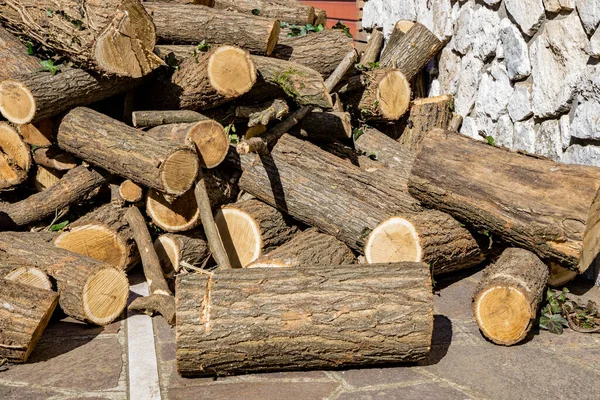 Log of a cut circular trunk, where the tree annual growth rings can be seen. Untidy stack of firewood. Ivy leaves attached to the bark of the tree. Stone and cement wall in the background. — Stock Image Log Cut Circular Trunk Tree Annual Growth Rings Can Seen Royalty Free Stock Images