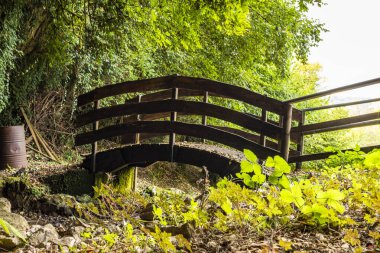 6 Ekim 2019 - Bellegra, Roma, Lazio, İtalya - 