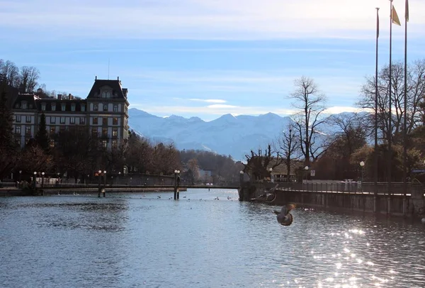 Veduta Del Fiume Aar Tramonto Thun Ponte Sul Fiume Piccioni — Foto Stock