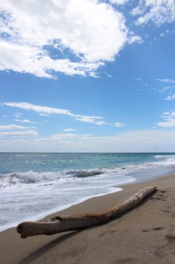 Kışın ıssız deniz dalgalı denizler, sahilde yosun ve kumsalda enkaz. Sahilde büyük bir ağaç gövdesi.