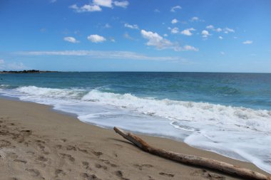 Kışın ıssız deniz, dalgalı denizler, sahilde yosun ve kumsalda enkaz..