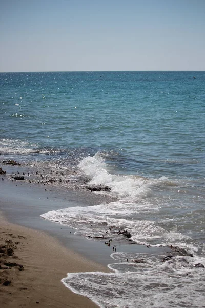 Έρημη Θάλασσα Χειμώνα Τις Άγριες Θάλασσες Φύκια Στην Ακτή Και — Φωτογραφία Αρχείου