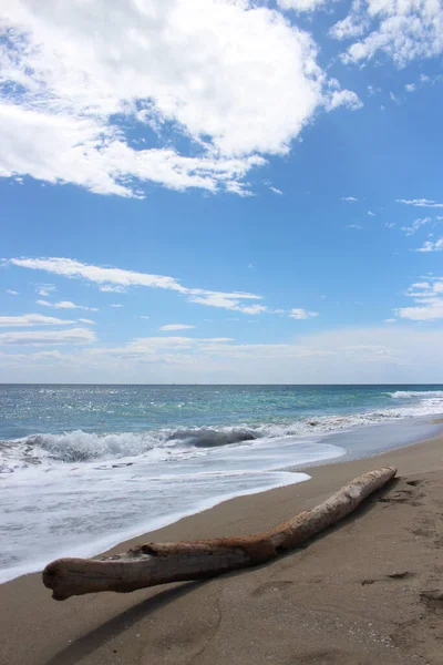 Kışın ıssız deniz dalgalı denizler, sahilde yosun ve kumsalda enkaz. Sahilde büyük bir ağaç gövdesi.