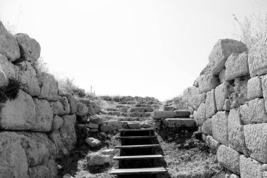 Latina, Lazio, İtalya 'nın antik kenti Norba Latina' nın arkeolojik sahasında. Taş duvarların ve kaldırım taşı sokakların kalıntıları..