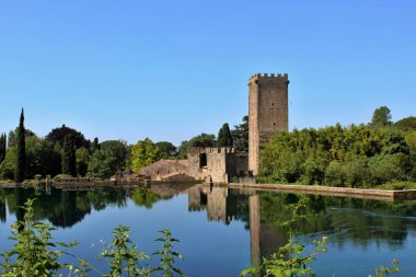 Ninfa Bahçesi, İtalya 'nın orta kesiminde, Latin kökenli Cisterna di Latina eyaletine bağlı bir manzara bahçesidir. Antik ortaçağ şatosunun kalıntılarının gölünün manzarası.