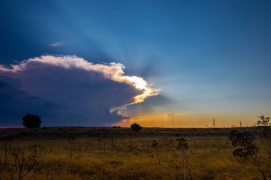 Gün batımında bulutların arkasında güneş. Mavi gökyüzü ve ufukta sarı-turuncu yansımalar. Yazın büyük kuru çimen tarlası ve ışığa karşı ağaçlar. Işık huzmeleri.