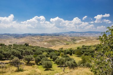 Craco, Matera, Italy. View from the top of the endless and desolate hills of Basilicata. The deserted countryside, the olive trees and the cultivated fields. clipart