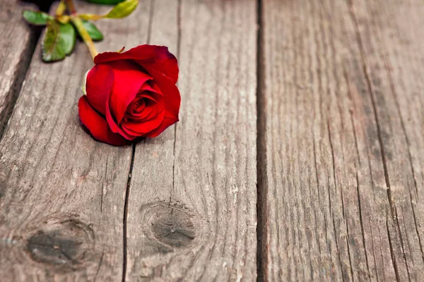 Biało Czerwone Róże Podłoże Drewniane Kobiety Dnia — Zdjęcie stockowe
