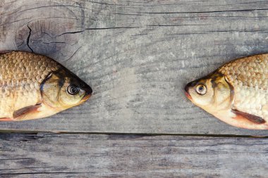 Ham sazan balık yemek için hazır