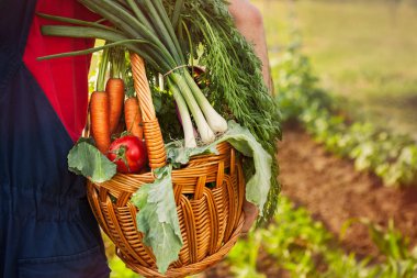 Bir sepet ile taze sebze dolu tutarak bahçıvan
