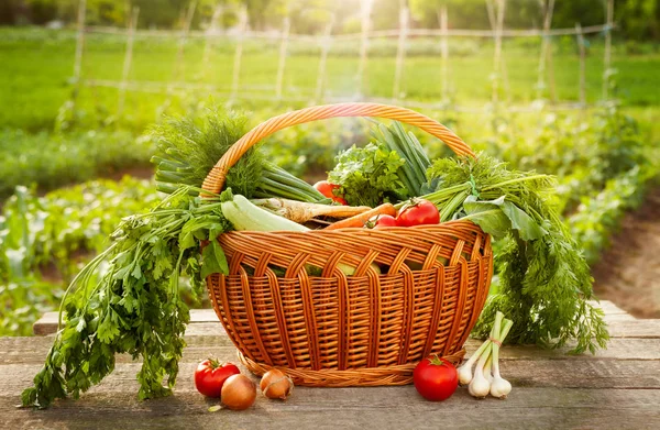 Table.Organic sebze sepeti ve ahşap masa üzerinde çeşitli sebze.