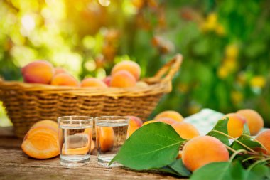 Kayısı brandy bardak taze kayısı ile tablo