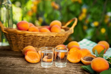 Bardak taze kayısı ile tabloda meyveli brendi