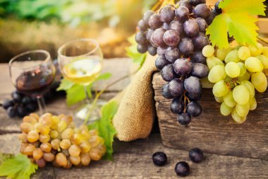 Kırmızı ve beyaz şarap ve taze üzüm ile şarap bardakları