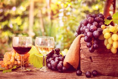 Kırmızı ve beyaz şarap ve Olgun üzüm ile şarap bardakları