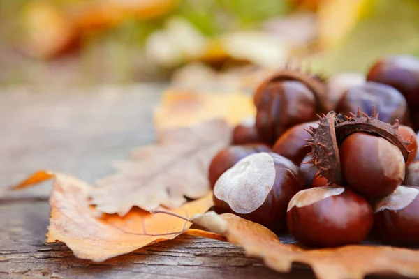Ahşap zemin üzerine düşen sonbahar yaprakları ile kestane 