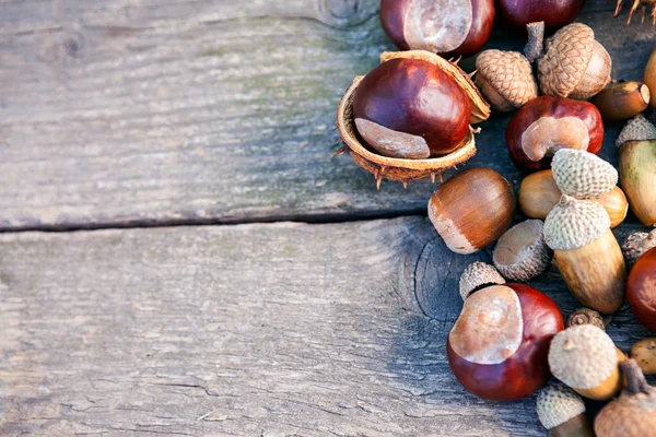 Diferentes Castañas Bellotas Sobre Fondo Madera —  Fotos de Stock