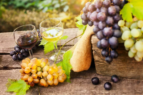 Вкусное Красное Белое Вино Бокалах Свежим Виноградом Деревянном Столе — стоковое фото