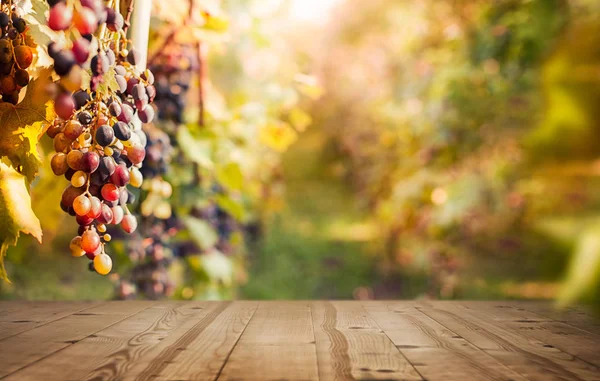 Raisins Dans Vignoble Avec Table Vide Bois Fond Avec Copie — Photo