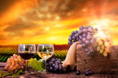 Kırmızı ve beyaz şarap gözlük ahşap masa üzerinde taze üzüm ile