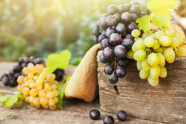 Raisins Frais Blancs Foncés Sur Vieille Surface — Photo