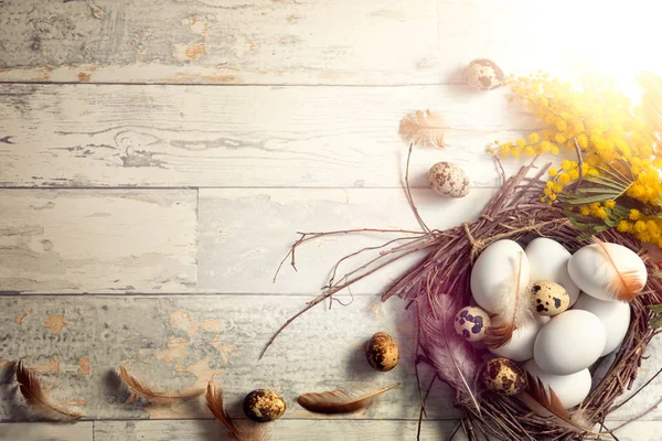 Πραγματικά Αυγά Πτηνών Φωλιάζουν Άσπρο Φόντο Ρουστίκ Ξύλινα — Φωτογραφία Αρχείου