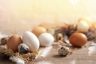 Mutlu Paskalya yumurtası güneşli bahar günü üzerinde eşarplı 