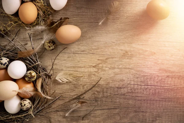 High angle view of Easter eggs with feathers on table