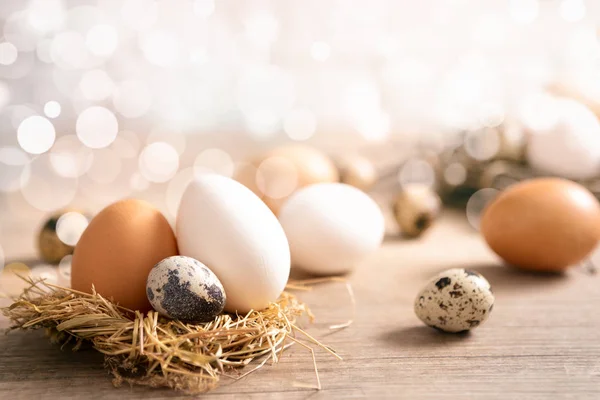 Κοντινό πλάνο διαφορετικά φρέσκα αυγά σε φωλιά πέρα από το υπόβαθρο bokeh — Φωτογραφία Αρχείου