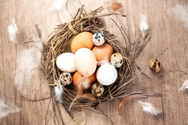 Τα αυγά των διαφόρων πτηνών σε ρουστίκ σε φωλιά — Φωτογραφία Αρχείου