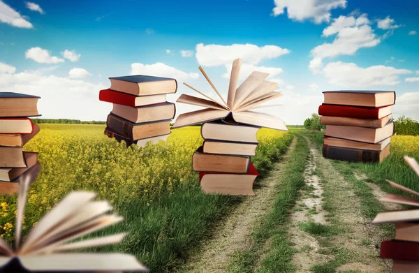 Piles of books in meadow — Stock Photo, Image