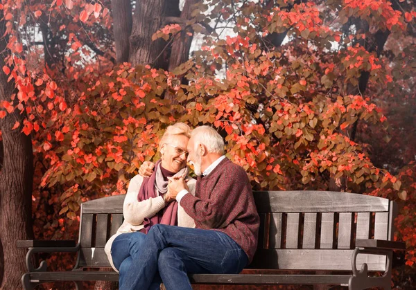 Yaşlı aşk çift parkta bir bankta birlikte zevk — Stok fotoğraf