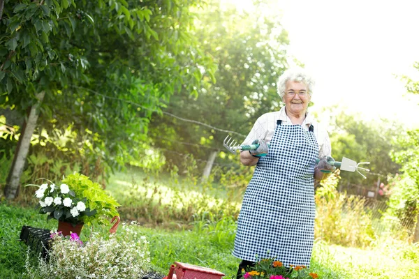 Happy grandma with tool in garden working like gardener