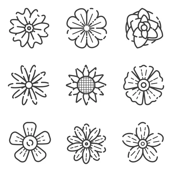 Vector Set Flowers Outline Isolated Icons — Stock Vector