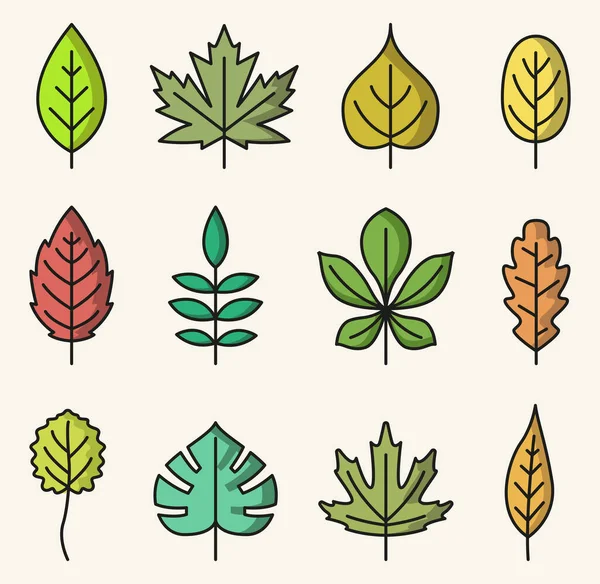 Vector Illustration Colorful Isolated Leaves Icons — Stock Vector