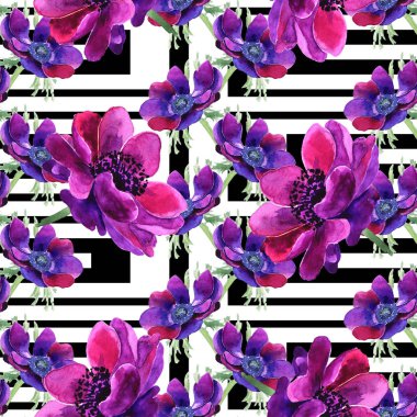  Güzel mor çiçek. Tam çiçek Anemone adıdır. Sorunsuz arka plan.