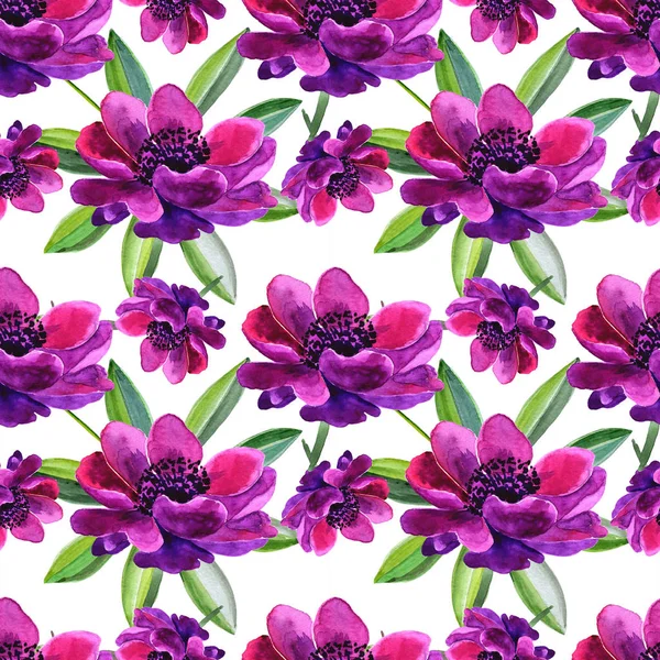 Красивый пурпурный цветок. Полное название цветка анемона. Бесшовный фон. — стоковое фото