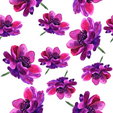 Sorunsuz çiçek arka plan. Anemon çiçeği çiçek tam adıdır, çiçekler içinde suluboya yapılır