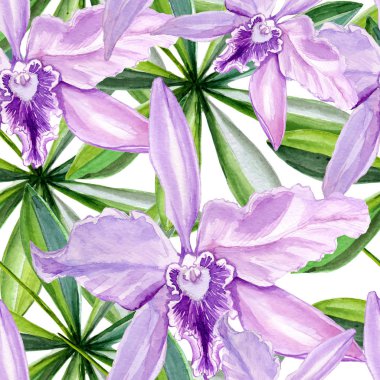 Dikişsiz desen, çiçek suluboya içinde yürütülür. Çiçek orkide tam adıdır