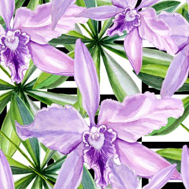 Dikişsiz desen, çiçek suluboya içinde yürütülür. Çiçek orkide tam adıdır