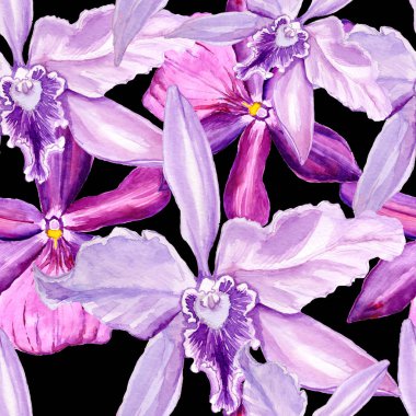 Dikişsiz desen, çiçek suluboya içinde yürütülür. Çiçek orkide tam adıdır