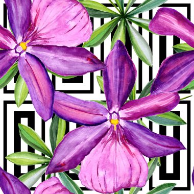 Dikişsiz desen, çiçek suluboya içinde yürütülür. Çiçek orkide tam adıdır