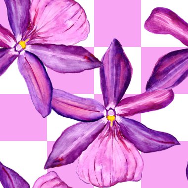 Dikişsiz desen, çiçek suluboya içinde yürütülür. Çiçek orkide tam adıdır