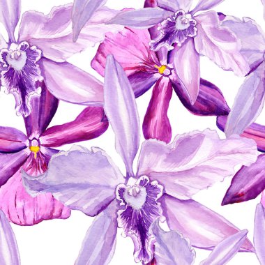 Dikişsiz desen, çiçek suluboya içinde yürütülür. Tam çiçek orkide adıdır. Tasarım için temel