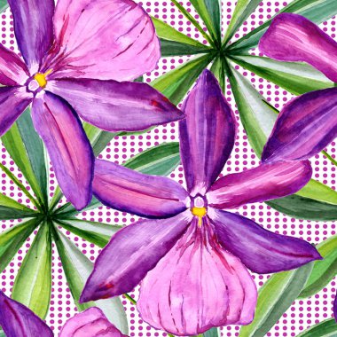 Dikişsiz desen, çiçek suluboya içinde yürütülür. Çiçek orkide tam adıdır