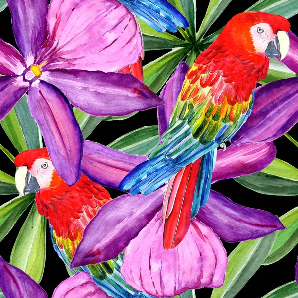 El pájaro, los trópicos, las flores se hacen con una acuarela. El nombre completo del pájaro es el loro. Flores de Anemone . —  Fotos de Stock