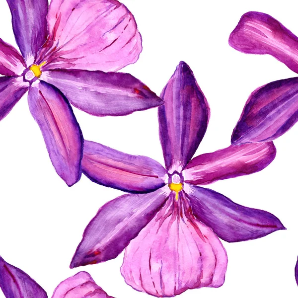シームレスなパターンの花は水彩で実行されます。花の完全な名前は蘭の花 — ストック写真